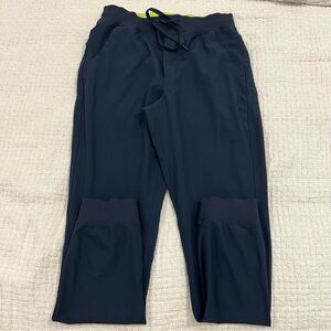 Birddogs Gabe Ruth Joggers Navy Men’s M Lined Stretch EUC